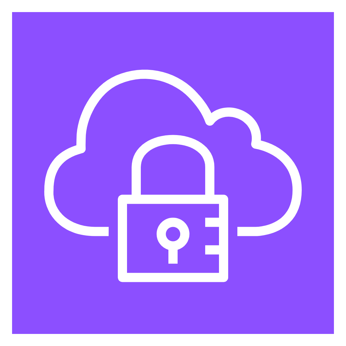 AWS Client VPN Connection