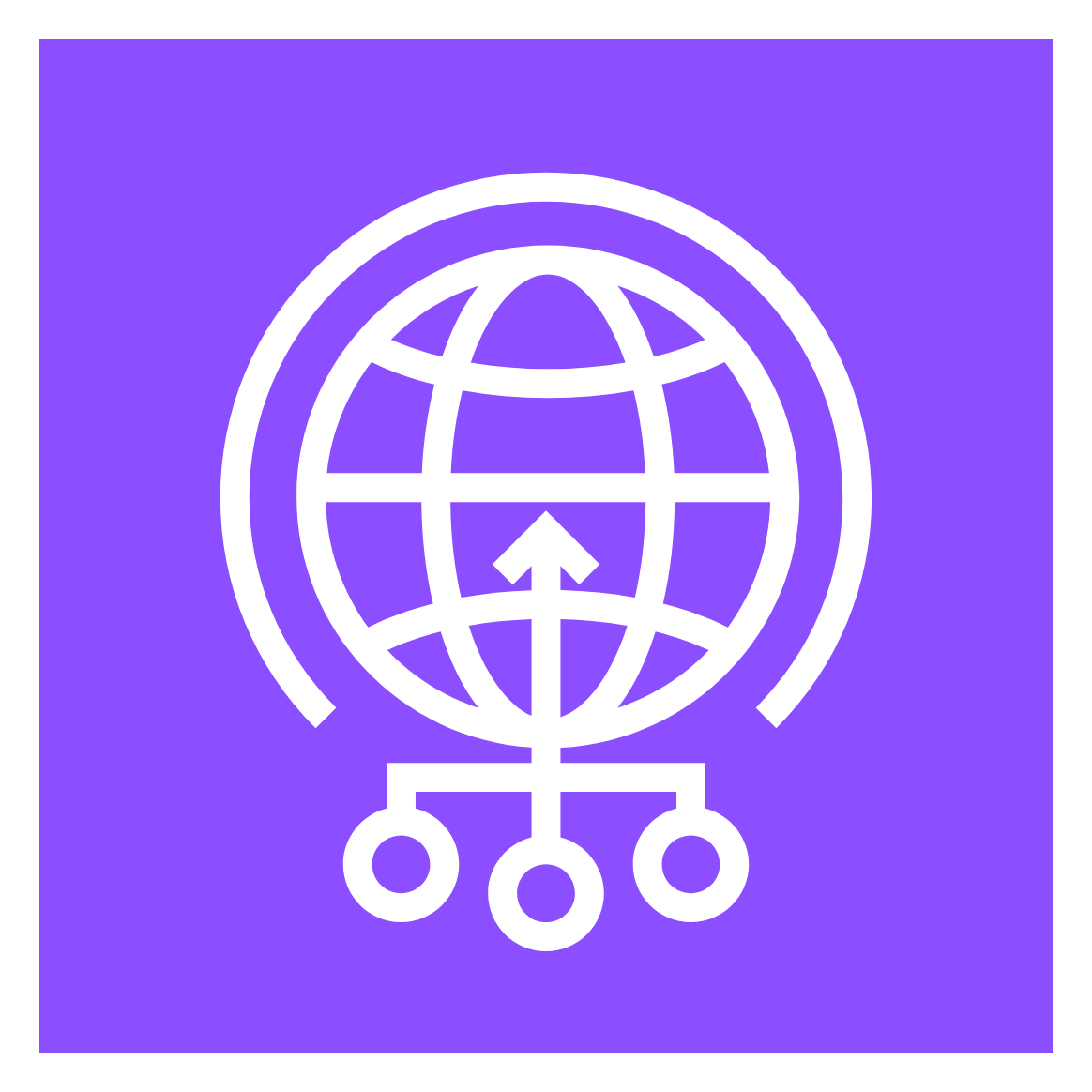 AWS Global Networking Logo