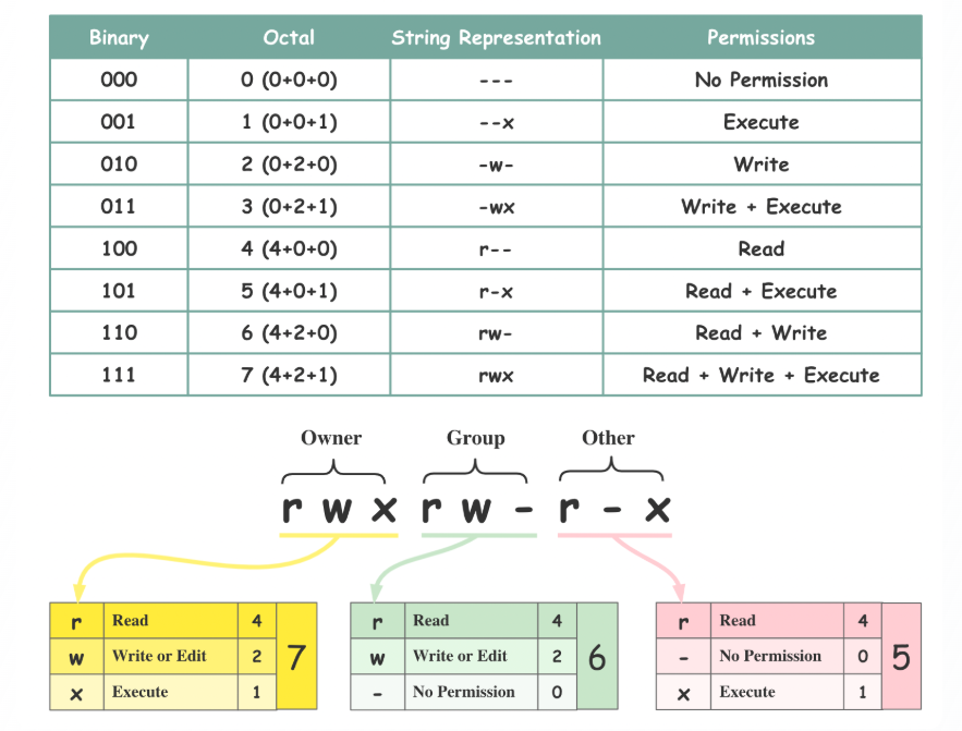 Linux File Management & Permissions